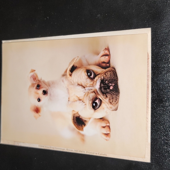 Set of 17 Mary Engelbrett Note Cards - Picture 9 of 10